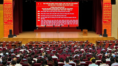 지아 라이: 당 제14차 전국대표대회 결의안 연구, 이해 및 이행 결과 조사.