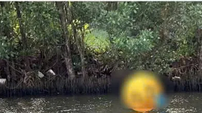 Ca Mau: Police investigate infant's body found floating in river.