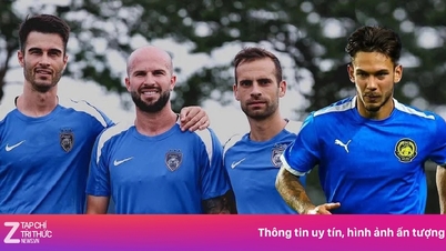 Quatre joueurs malaisiens naturalisés ont été interdits de jouer dans le championnat national.