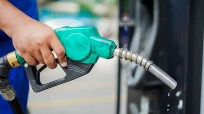 Bibehålla stabiliteten i energins "livlina" mitt i de globala oljeprisfluktuationerna.