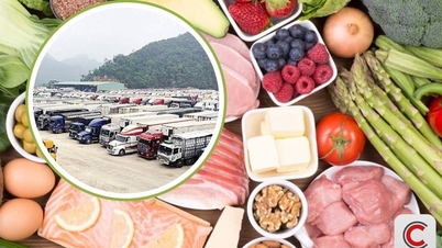 Doanh nghiệp thực phẩm chuẩn bị hồ sơ công bố sản phẩm thực hiện Nghị định số 46 từ 16/4