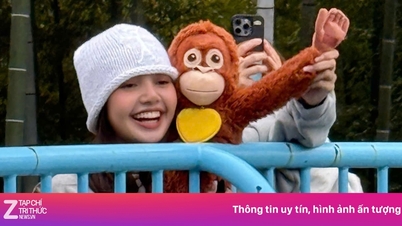 Lisa (BlackPink) îl vizitează pe Punch, maimuța care a fost abandonată de mama sa.