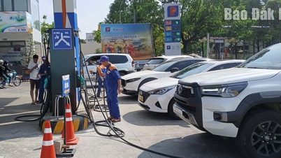 توانائی کی منڈی کے اتار چڑھاؤ کے پیش نظر ایندھن کی فراہمی کو فعال طور پر یقینی بنائیں۔