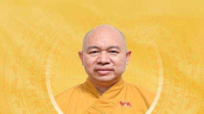 Tiểu sử tóm tắt và chương trình hành động của người ứng cử đại biểu Quốc hội khóa XVI tỉnh Điện Biên, Thượng tọa Thích Đức Thiện
