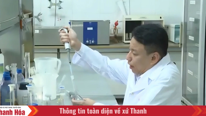 Medic distins, farmacist specialist II Trinh Le Anh: O călătorie tăcută a inovării pentru sănătatea comunității