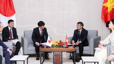 Vietnam ve Japonya birçok alanda iş birliğini genişletiyor.