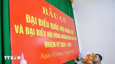 អ្នកនេសាទនៅខេត្តថាញ់ហ័រដាក់ទំនុកចិត្តទាំងស្រុងរបស់ពួកគេទៅលើថ្ងៃបោះឆ្នោត។