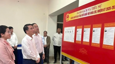 Vice ordförande för stadens folkkommitté, Nguyen Xuan Luu, inspekterade valförberedelserna i fem valdistrikt.