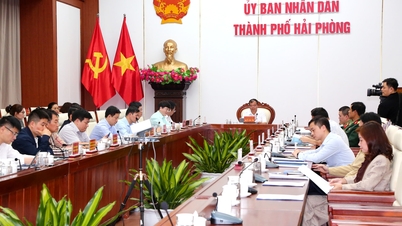 Das Festival der Roten Flammenblume - Hai Phong 2026 findet voraussichtlich vom 9. bis 15. Mai statt.
