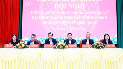 Les candidats au 20e mandat du Conseil populaire provincial de Bac Ninh rencontrent les électeurs dans le quartier de Da Mai.