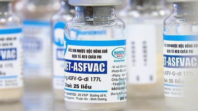 Der in Vietnam entwickelte DTLCP-Impfstoff schützt vor der Virusvariante.