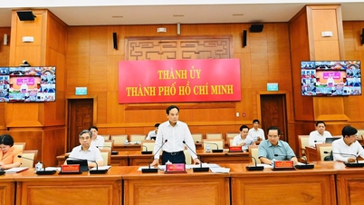 TP.HCM kiện toàn 42 ban bầu cử đại biểu HĐND TP.HCM nhiệm kỳ 2026 - 2031