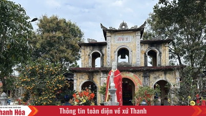 The Vích Pagoda needs to be restored and renovated soon.
