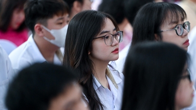 Quels étudiants devraient choisir le marketing comme spécialisation ?