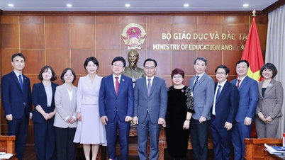 P.o. ministra edukacji i szkoleń Hoang Minh Son: Zaproponował, aby koreańskie uniwersytety otworzyły filie w Wietnamie.