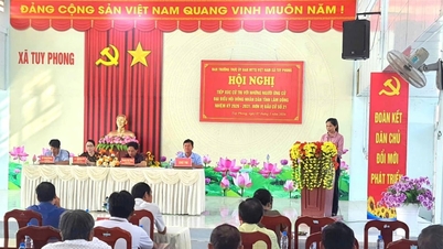 Les électeurs de la commune de Tuy Phong ont placé leurs espoirs dans les candidats au Conseil populaire provincial.
