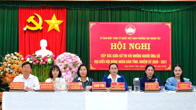 Candidates for the Gia Lai Provincial People's Council in electoral district No. 2 meet with voters in Quy Nhon Tay ward.