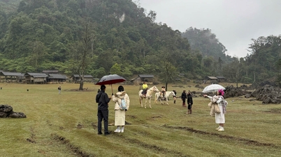 Spring in Moc Chau: A harmonious blend of nature's colors.