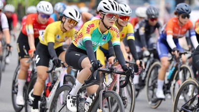 Cuando las ciclistas brillan en la pista de carreras.