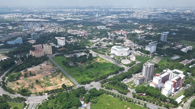 팟닷은 새로운 대학교를 건설하고 폴리테크닉 대학교를 투득 대학교 마을로 이전할 것을 제안했습니다.