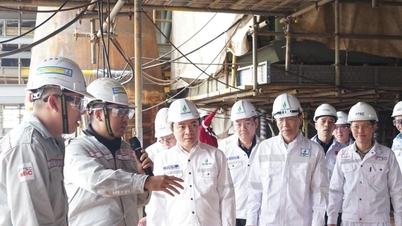 Respuesta proactiva, garantizando la cadena de suministro y la seguridad energética.