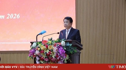 Statsministeren godkjente Nguyen Thanh Binh som leder av folkekomiteen i Ninh Binh-provinsen.