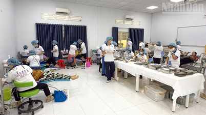 A Universidade Cuu Long ofereceu exames médicos e medicamentos gratuitos para quase 4.000 pessoas.