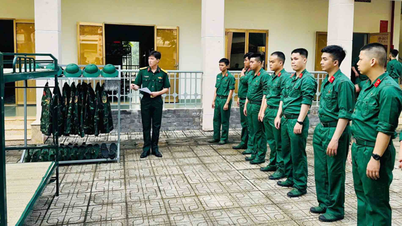 Les premières leçons pour les nouvelles recrues du régiment Gia Dinh.