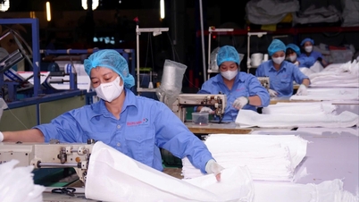 Le syndicat Hai Phong intensifie ses efforts de propagande électorale auprès des travailleurs.