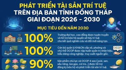 [Infografika] Szellemi tulajdon fejlesztése Dong Thap tartományban, 2026-2030