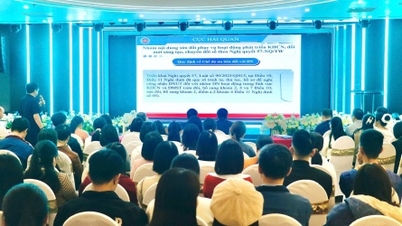 Thai Binh Gümrük Müdürlüğü, yeni politikalar konusunda işletmeleri bilgilendirmek için onlarla birlikte çalışmaktadır.