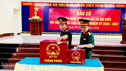 An Giang: Voters in Tho Chau Special Zone enthusiastically cast their ballots early.