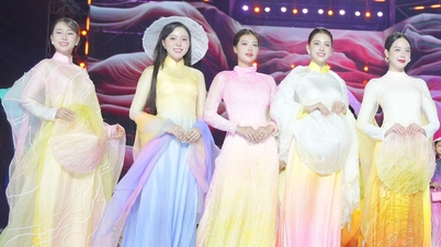 Vietnamese and international beauties showcase their charm and tell stories of sustainable fashion through the ao dai.