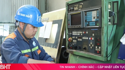 In den vergangenen zwei Monaten wurden in der Provinz Ha Tinh 425 neue Unternehmen registriert.