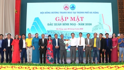 Utvandrerforeningen Thanh Hoa i Da Nang holdt et nyttårsmøte i Hestens år (2016).