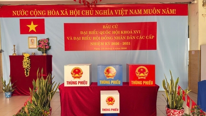 ទីក្រុងហូជីមិញបានបញ្ចប់គណៈកម្មាធិការបោះឆ្នោតសម្រាប់ការបោះឆ្នោតជ្រើសរើសតំណាងក្រុមប្រឹក្សាប្រជាជនចំនួន ៤២ រូបសម្រាប់អាណត្តិ ២០២៦-២០៣១។