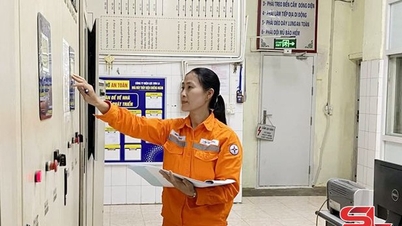 Công ty Điện lực Sơn La tạo môi trường bình đẳng, thúc đẩy nội lực từ lao động nữ