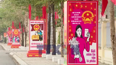 Velgerne i Ninh Binh avga sine trosstemmer.