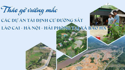 Løse hindringer i gjenbosettingsprosjekter for jernbanelinjen Lao Cai - Hanoi - Hai Phong i Bao Ha kommune.