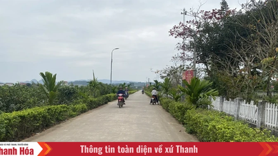 Ha Long melengkapkan kriteria pengangkutan dalam pembangunan luar bandar.