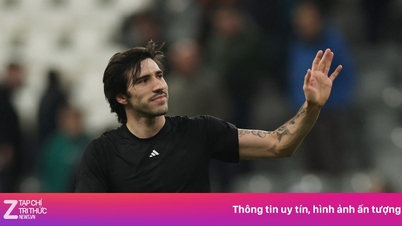 Real Madrid interfered in the pursuit of Tonali from Manchester United.