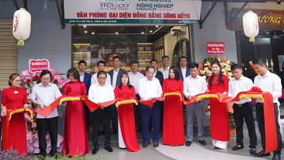 Eröffnung des Repräsentanzbüros des Vietnam Organic Magazine in der Region des Roten-Fluss-Deltas