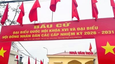 Hai Phong város befejezte a szavazólapok kiosztását.