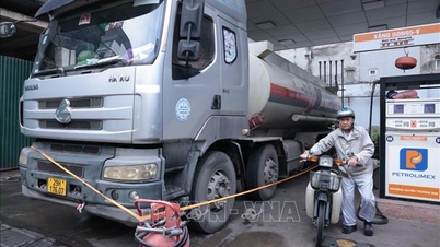 Vorschläge zur Senkung der Einfuhrzölle auf Benzin und Diesel auf 0 % aufgrund des eskalierenden Konflikts im Nahen Osten.