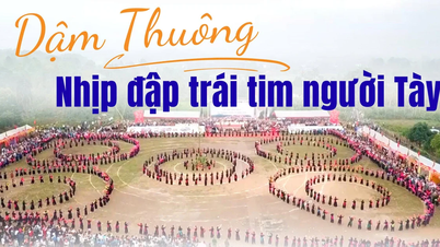 Dam Thuong – der Herzschlag des Tay-Volkes