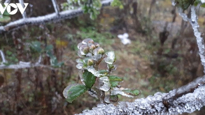 In Nordvietnam ist eine Kaltfront spürbar, die kälteres Wetter mit sich bringt; in einigen Gebieten sinken die Temperaturen unter 14 Grad Celsius.