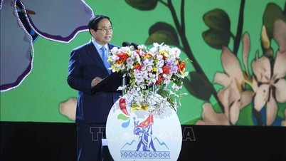 Teks lengkap pidato Perdana Menteri pada pembukaan Festival Hoa Ban 2026.