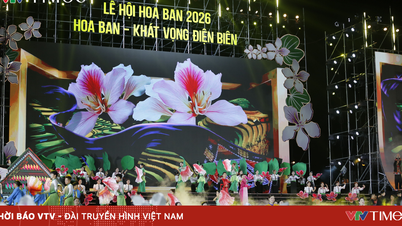 Statsminister: Att lyfta Hoa Ban-festivalen till en nationell och internationell kulturell "destination".