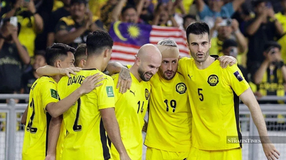 מאמן ה-AFC: 7 שחקנים שקיבלו התאזרחות באופן לא חוקי עלולים להיות מורחקים מנבחרת מלזיה.