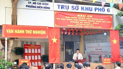 Bandar Raya Ho Chi Minh: Melaksanakan langkah-langkah pencegahan dan kawalan penyakit dengan ketat untuk memenuhi keperluan pilihan raya.